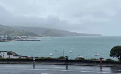Porirua weather: what to expect and how to plan your day