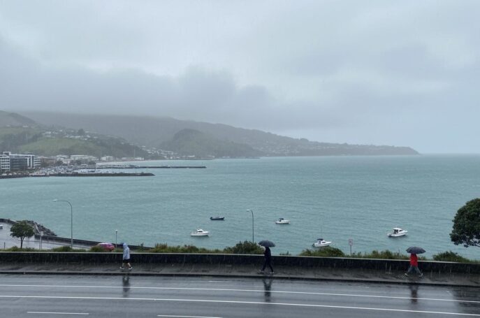Porirua weather: what to expect and how to plan your day